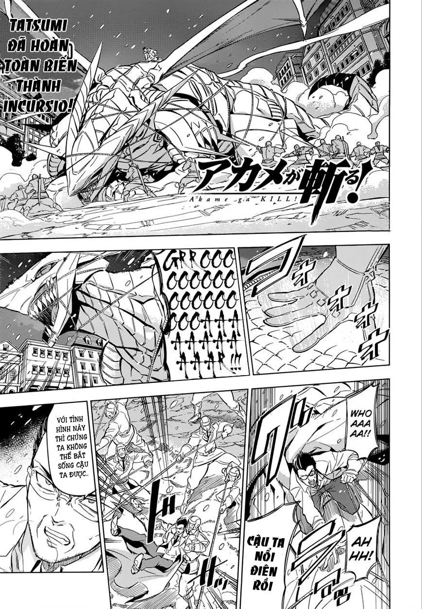 Akame Ga Kiru Chapter 76 - Trang 3