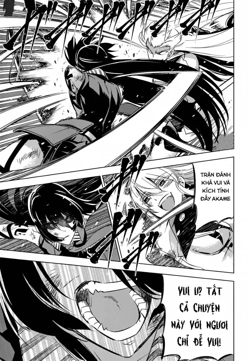 Akame Ga Kiru Chapter 77 - Trang 17