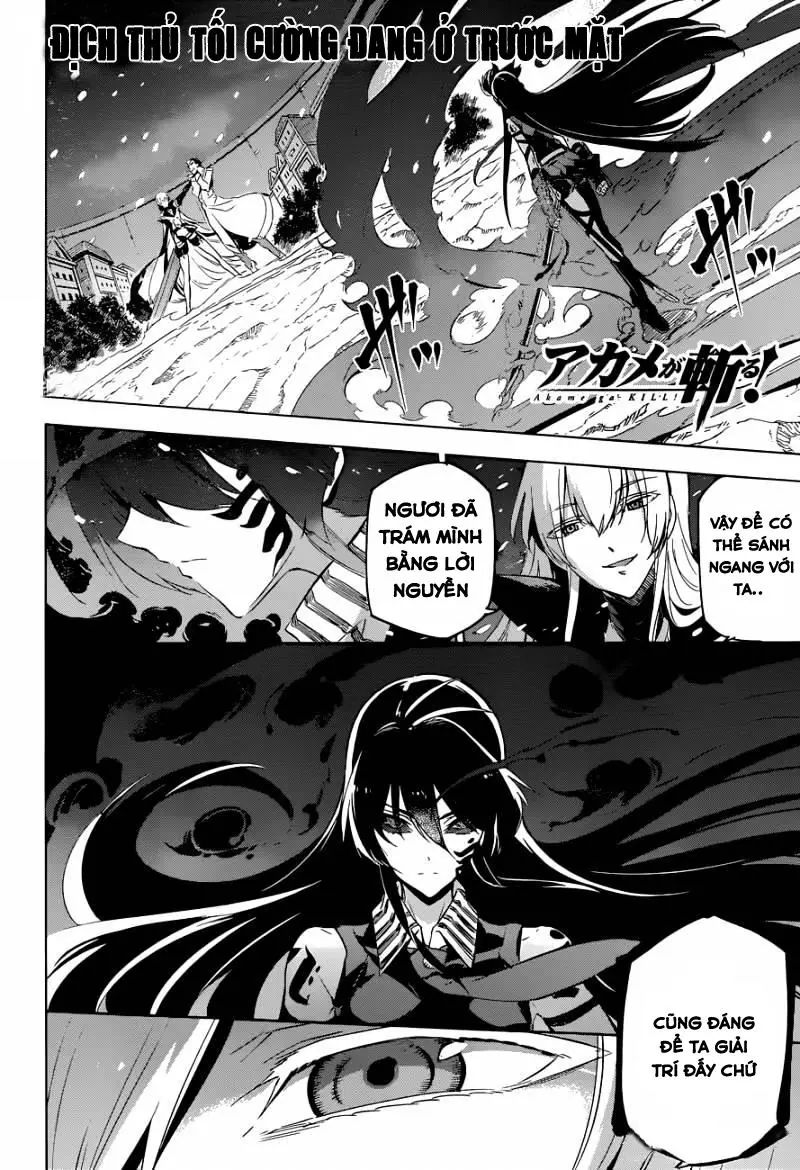 Akame Ga Kiru Chapter 77 - Trang 3