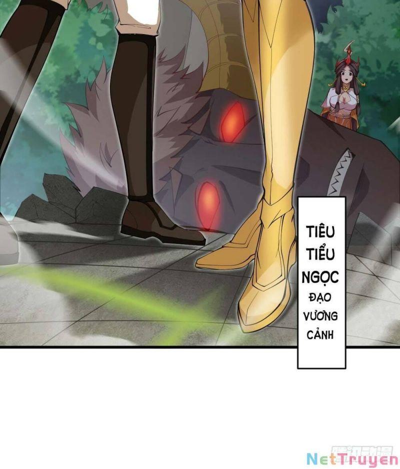 Ẩn Cư Mười Vạn Năm, Đời Sau Mời Ta Rời Núi Chapter 11 - Trang 39