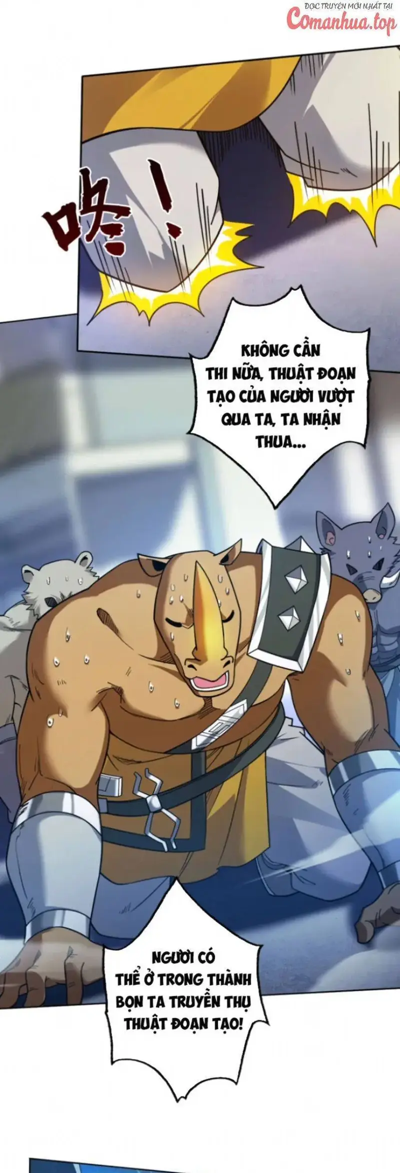 Ẩn Cư Mười Vạn Năm, Đời Sau Mời Ta Rời Núi Chapter 117 - Trang 21