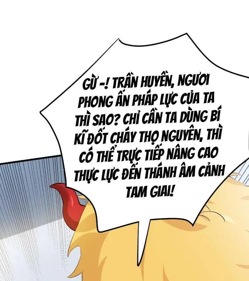 Ẩn Cư Mười Vạn Năm, Đời Sau Mời Ta Rời Núi Chapter 234 - Trang 25