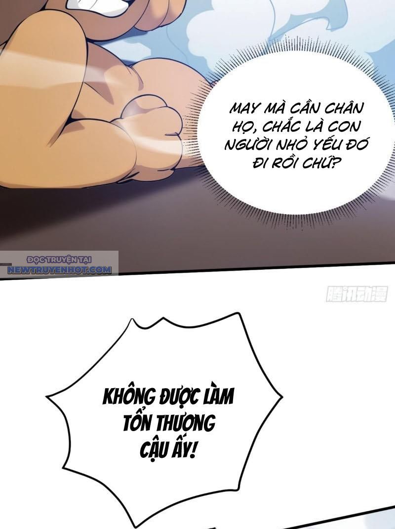 Ẩn Cư Mười Vạn Năm, Đời Sau Mời Ta Rời Núi Chapter 258 - Trang 11