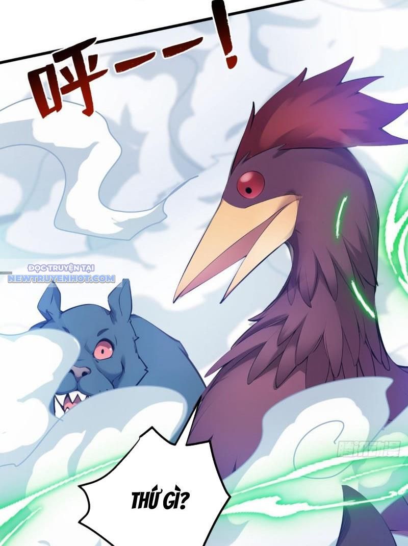 Ẩn Cư Mười Vạn Năm, Đời Sau Mời Ta Rời Núi Chapter 258 - Trang 12