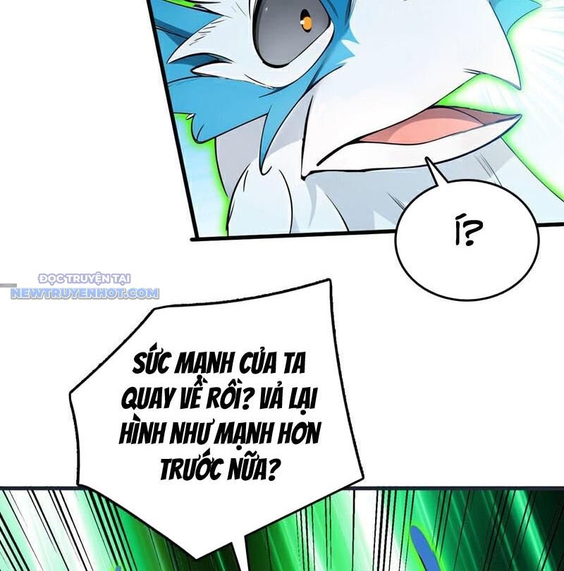 Ẩn Cư Mười Vạn Năm, Đời Sau Mời Ta Rời Núi Chapter 267 - Trang 13