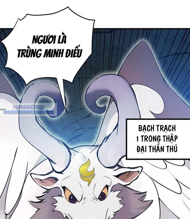 Ẩn Cư Mười Vạn Năm, Đời Sau Mời Ta Rời Núi Chapter 269 - Trang 22