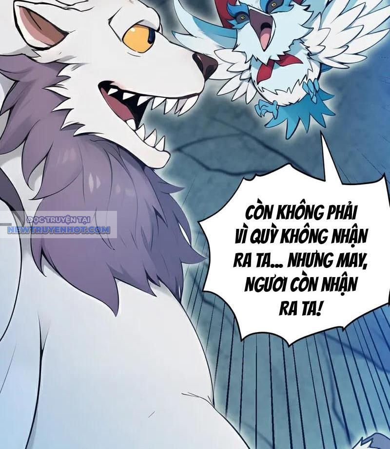 Ẩn Cư Mười Vạn Năm, Đời Sau Mời Ta Rời Núi Chapter 269 - Trang 25