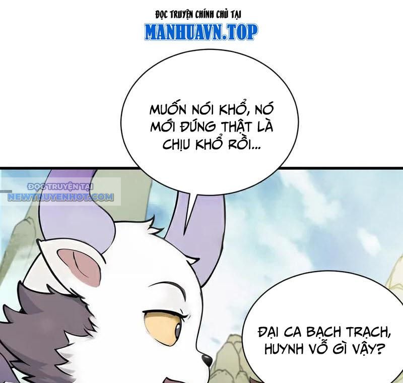 Ẩn Cư Mười Vạn Năm, Đời Sau Mời Ta Rời Núi Chapter 270 - Trang 3