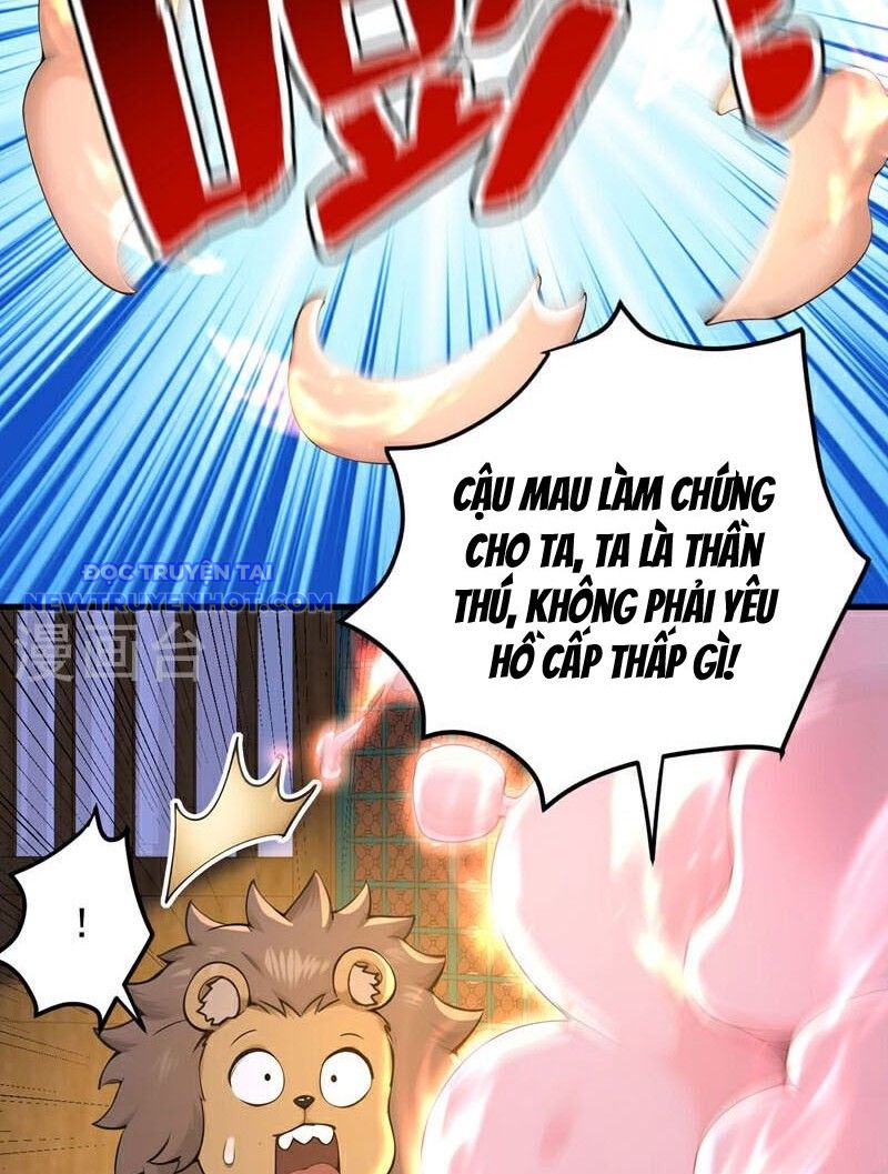Ẩn Cư Mười Vạn Năm, Đời Sau Mời Ta Rời Núi Chapter 286 - Trang 25