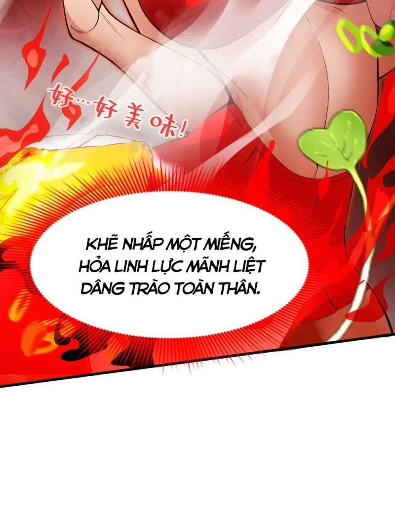 Ẩn Cư Mười Vạn Năm, Đời Sau Mời Ta Rời Núi Chapter 4 - Trang 22