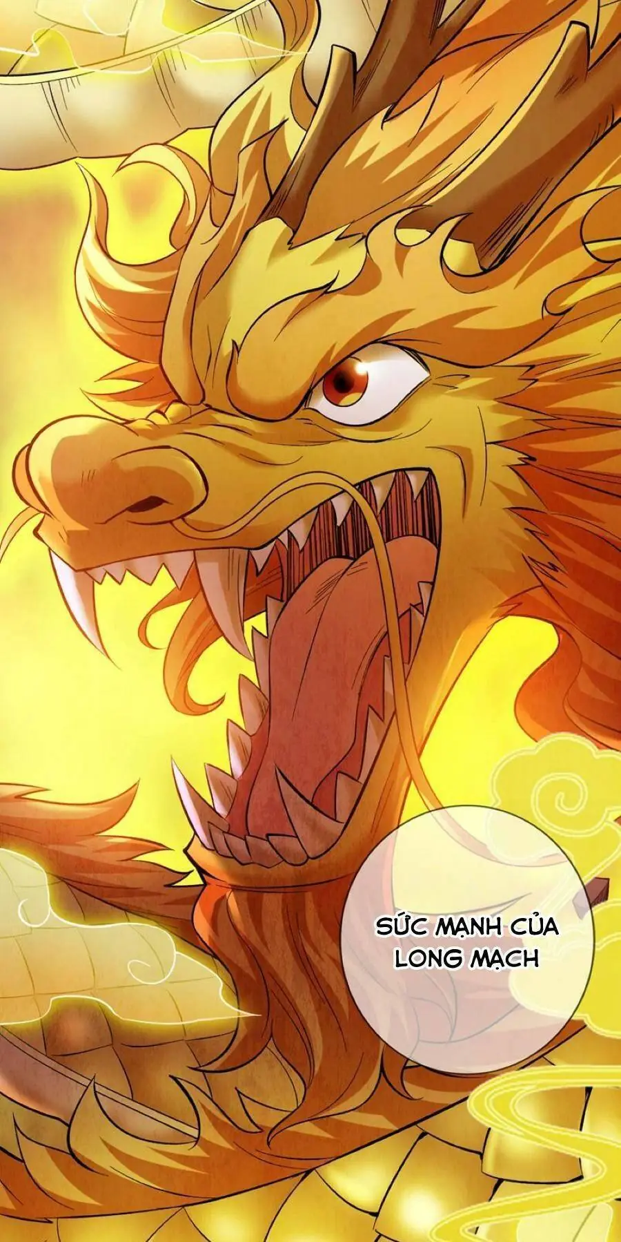 Ẩn Cư Mười Vạn Năm, Đời Sau Mời Ta Rời Núi Chapter 49 - Trang 21