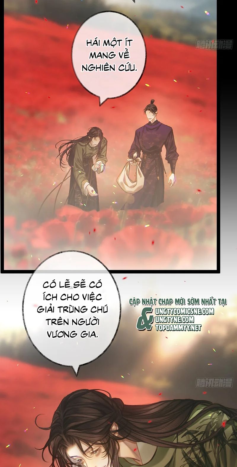 An Tọa Trước Khung Cửa Sáng Chapter 26 - Trang 31