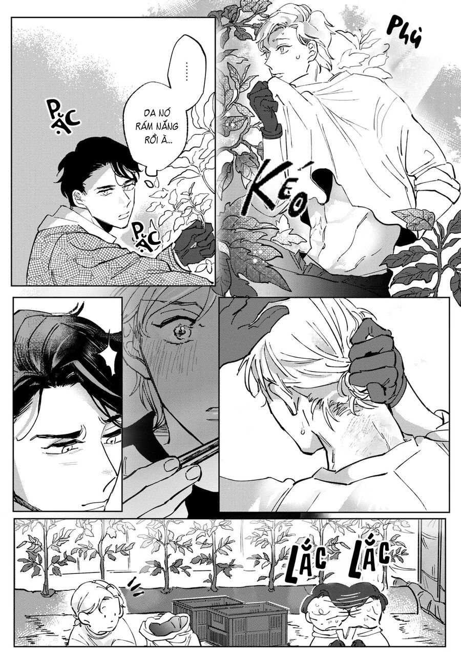 Anh Em Xã Hội Làm Nông Chapter 1 - Trang 19