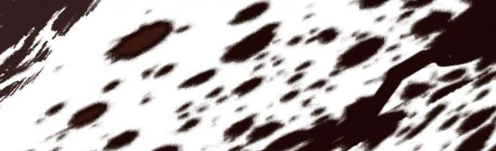 Anh Hùng Không Máu Lệ Chapter 14 - Trang 2