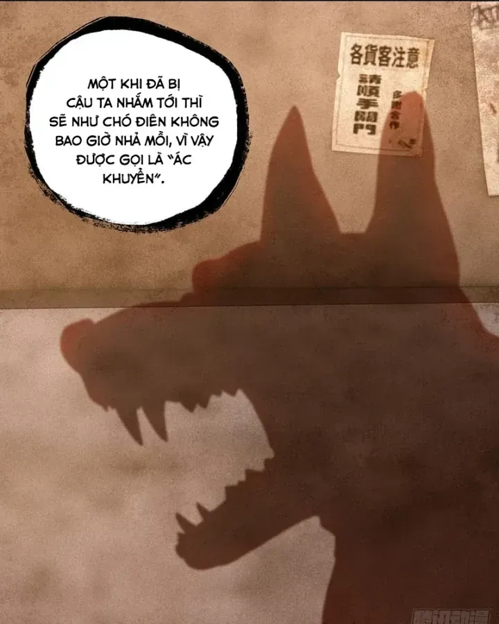 Anh Trai Tôi Là Chó Điên Chapter 2 - Trang 13