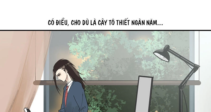 Ánh Trăng Và Người Tình Một Nửa Chapter 12 - Trang 11