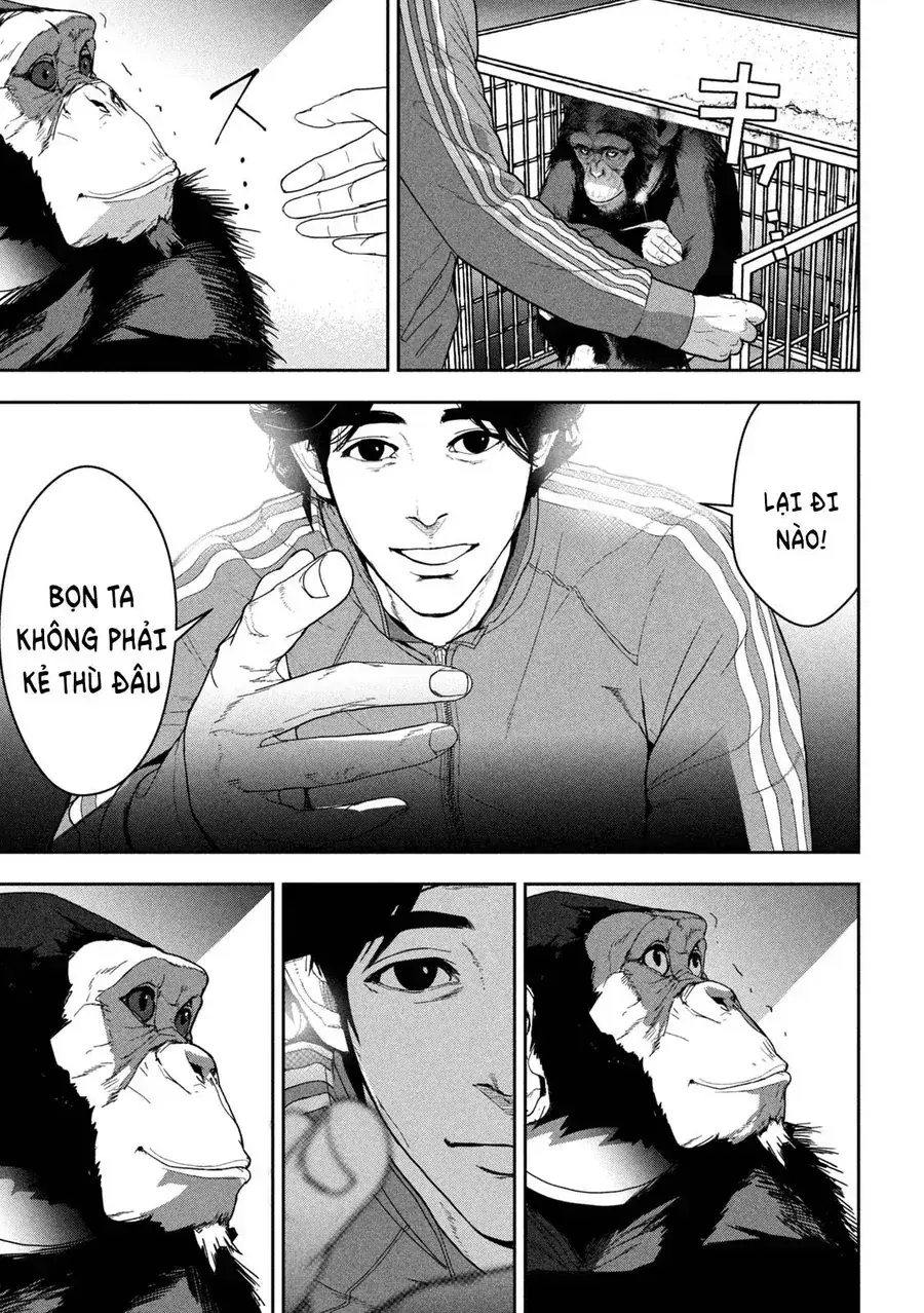 Ank: A Mirroring Ape Chapter 1 - Trang 29