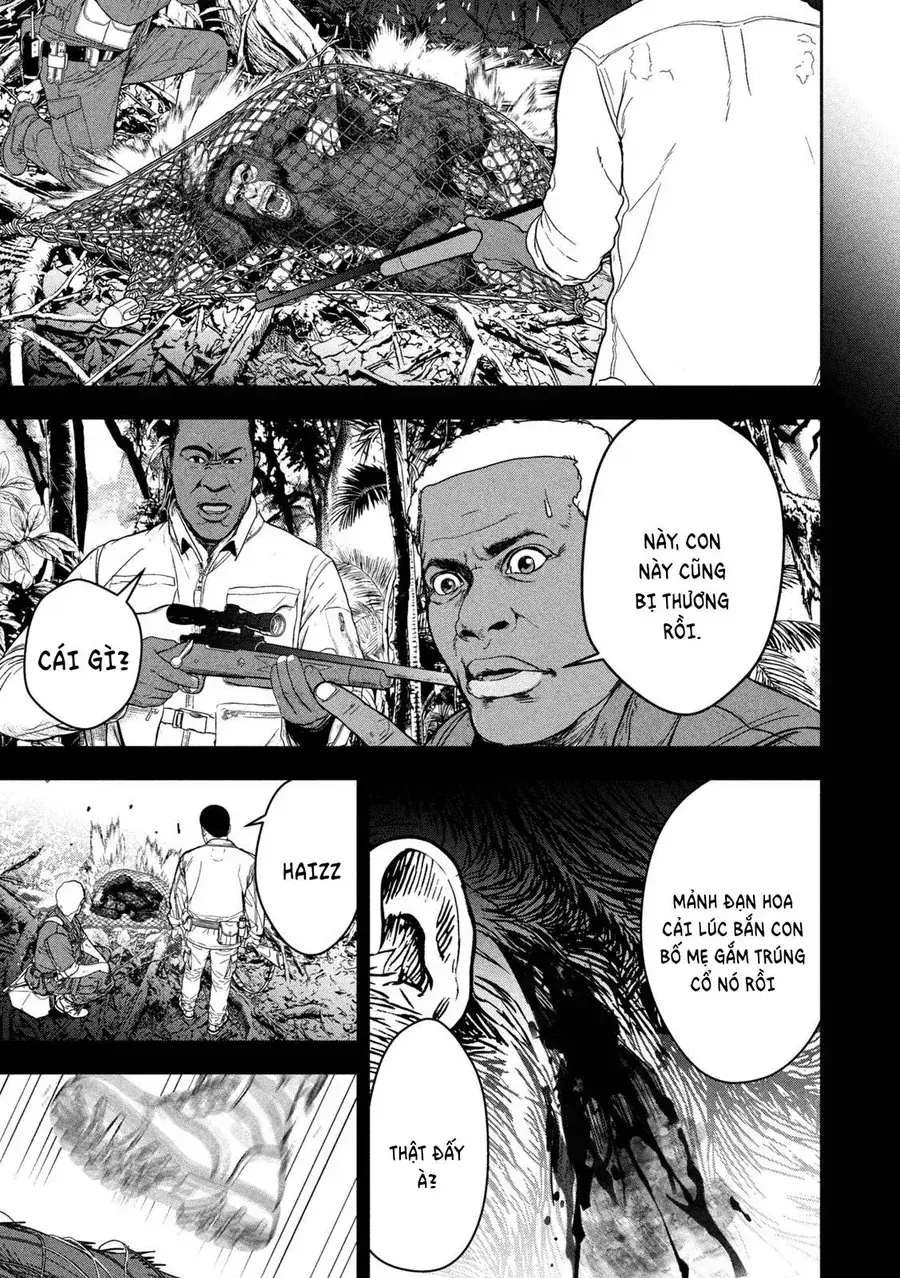 Ank: A Mirroring Ape Chapter 1 - Trang 39