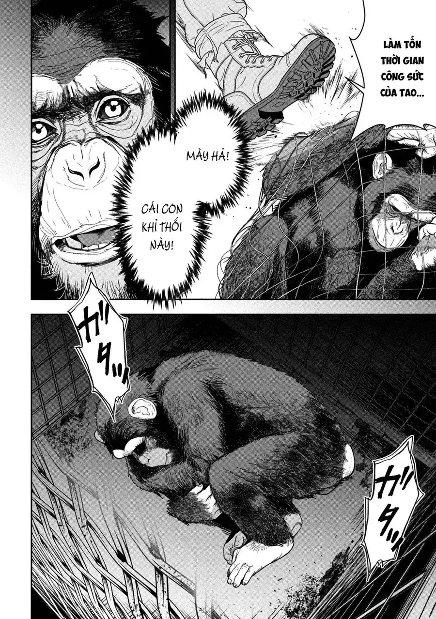 Ank: A Mirroring Ape Chapter 1 - Trang 40