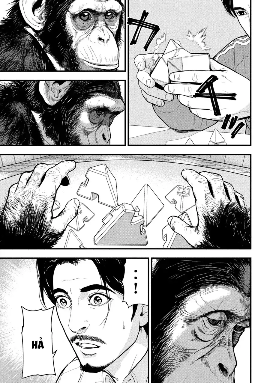 Ank: A Mirroring Ape Chapter 2 - Trang 25