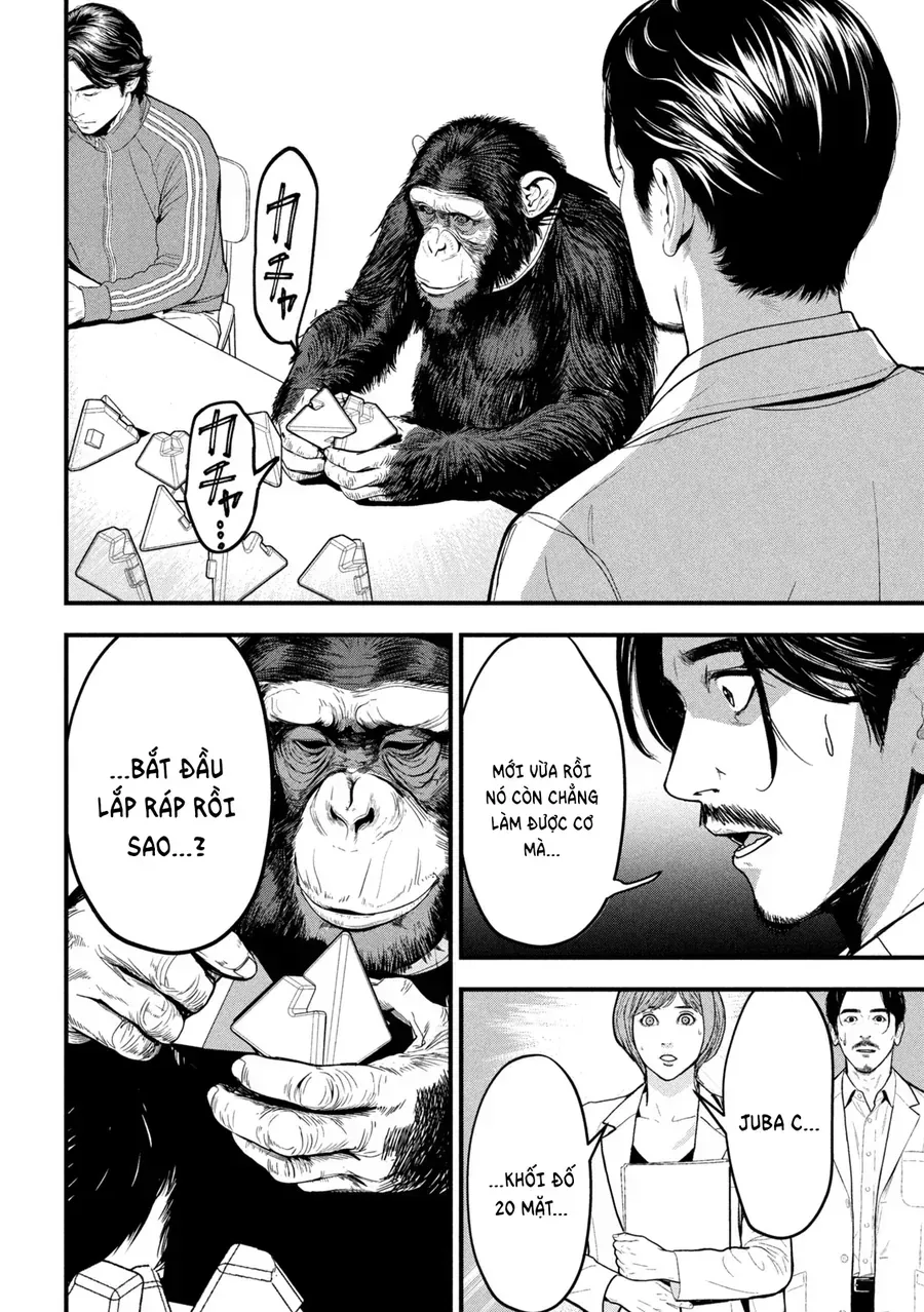 Ank: A Mirroring Ape Chapter 2 - Trang 26
