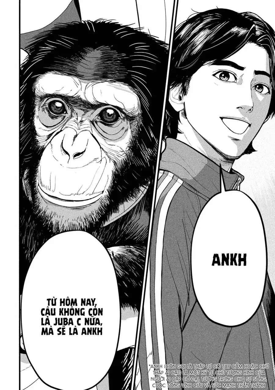 Ank: A Mirroring Ape Chapter 2 - Trang 32