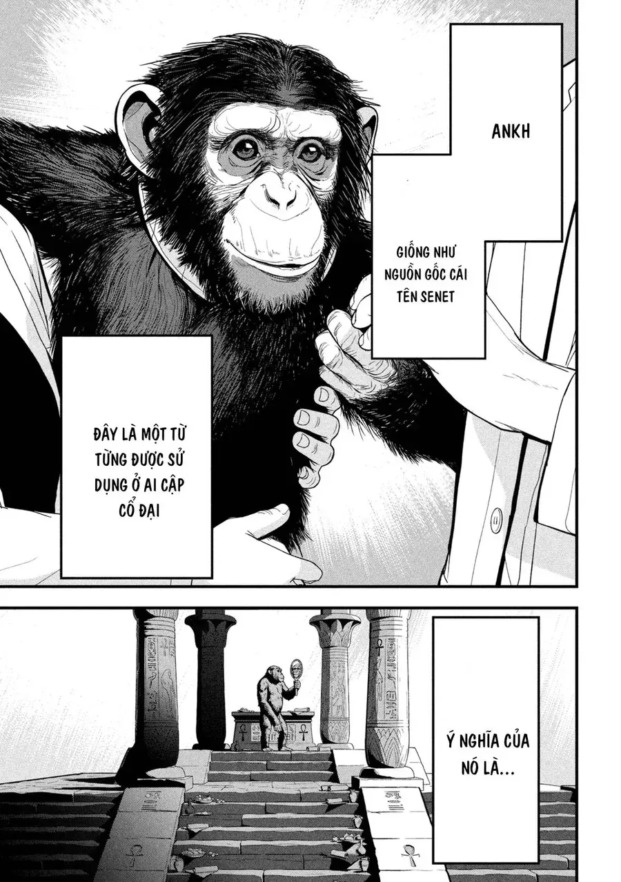 Ank: A Mirroring Ape Chapter 2 - Trang 39