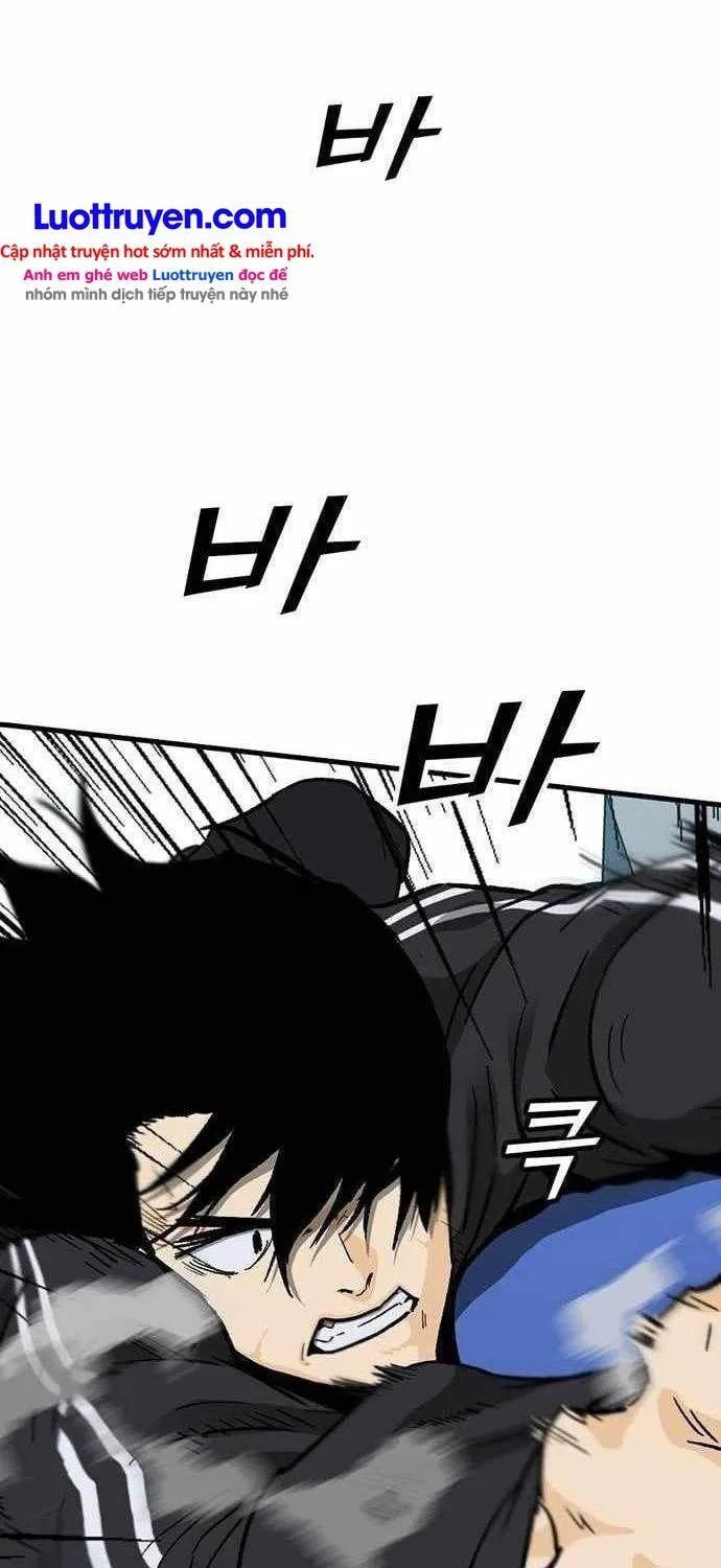 Assistant Chapter 23 - Trang 13