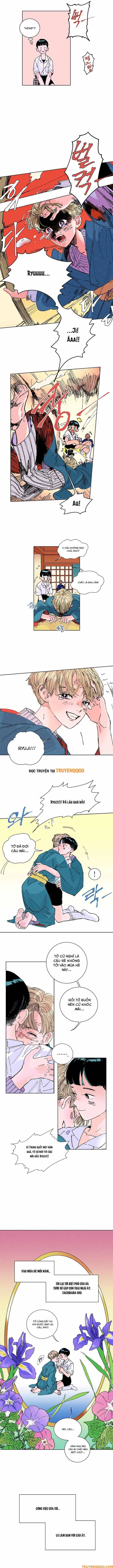 Bá Tước Tachibana Chapter 1 - Trang 8