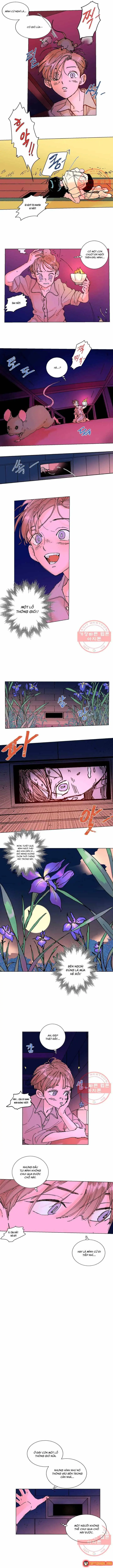 Bá Tước Tachibana Chapter 10 - Trang 6