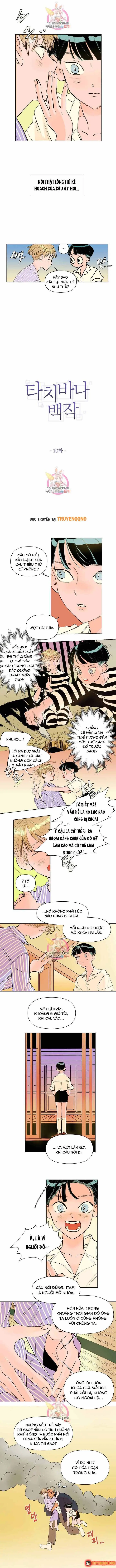 Bá Tước Tachibana Chapter 11 - Trang 3
