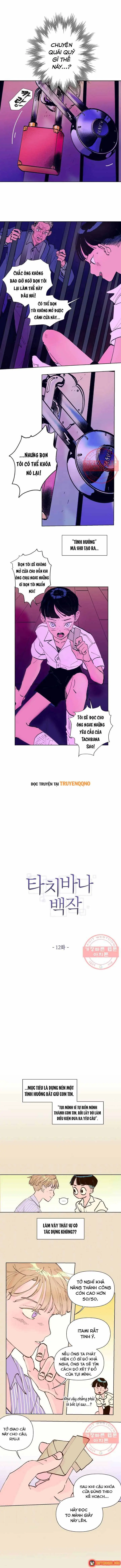 Bá Tước Tachibana Chapter 12 - Trang 3