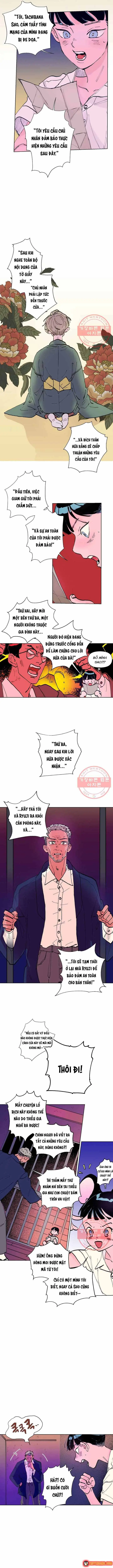 Bá Tước Tachibana Chapter 12 - Trang 4