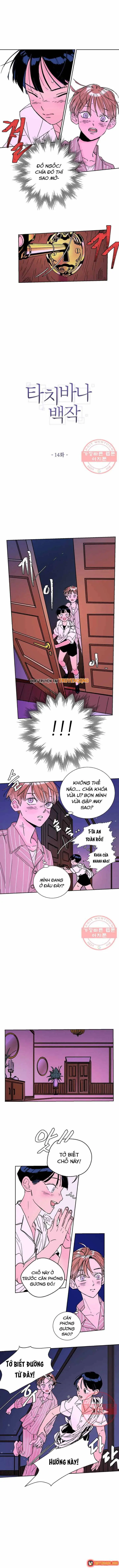 Bá Tước Tachibana Chapter 14 - Trang 3