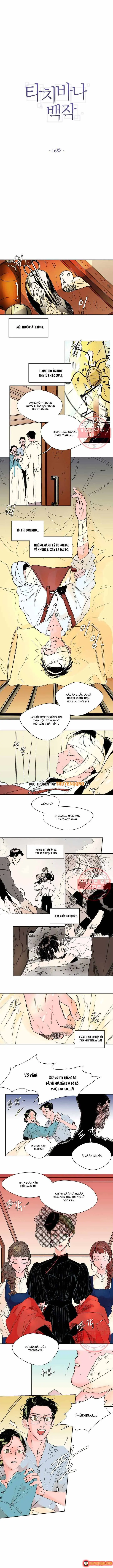 Bá Tước Tachibana Chapter 16 - Trang 3