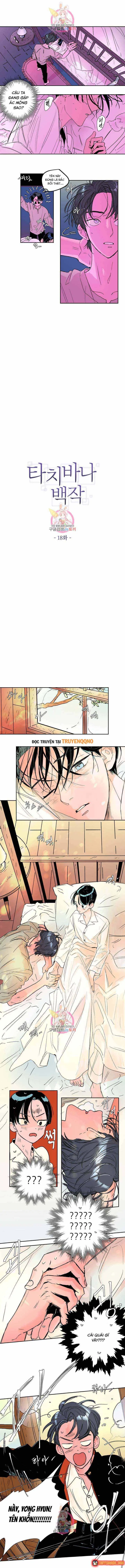 Bá Tước Tachibana Chapter 18 - Trang 3