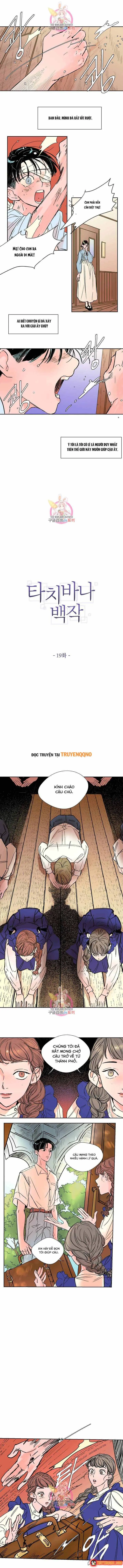 Bá Tước Tachibana Chapter 19 - Trang 3