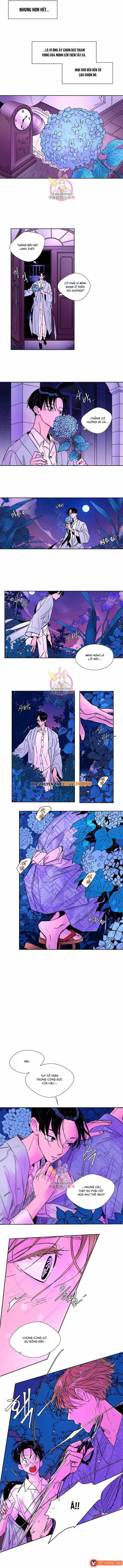 Bá Tước Tachibana Chapter 19 - Trang 5