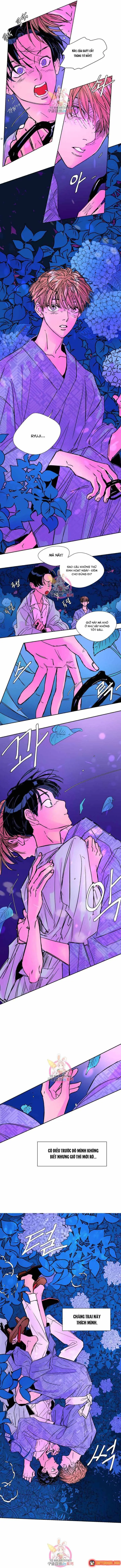 Bá Tước Tachibana Chapter 19 - Trang 6