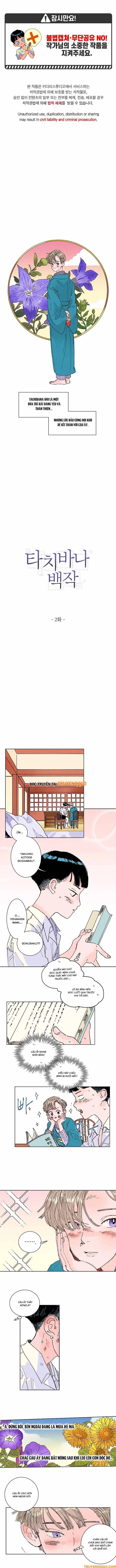 Bá Tước Tachibana Chapter 2 - Trang 3