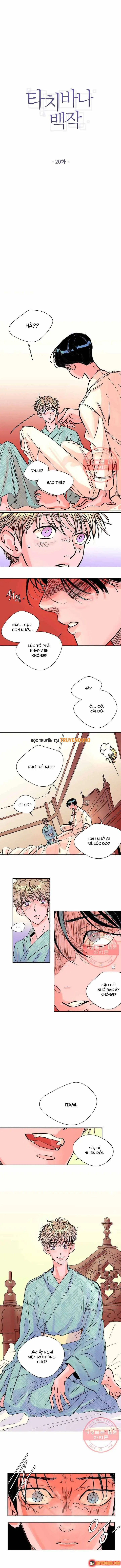 Bá Tước Tachibana Chapter 20 - Trang 3