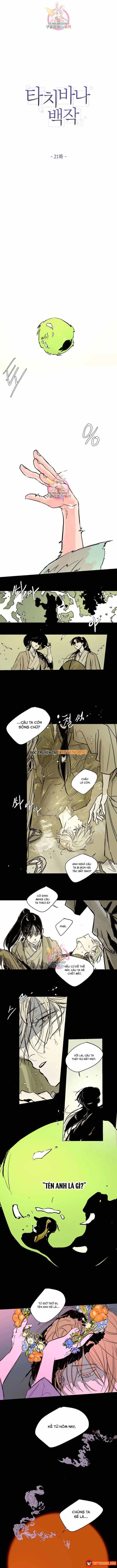Bá Tước Tachibana Chapter 21 - Trang 3