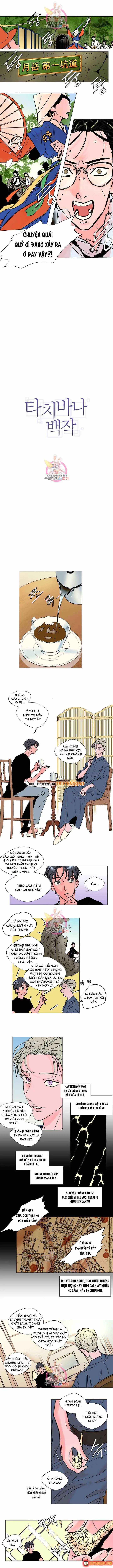 Bá Tước Tachibana Chapter 22 - Trang 3