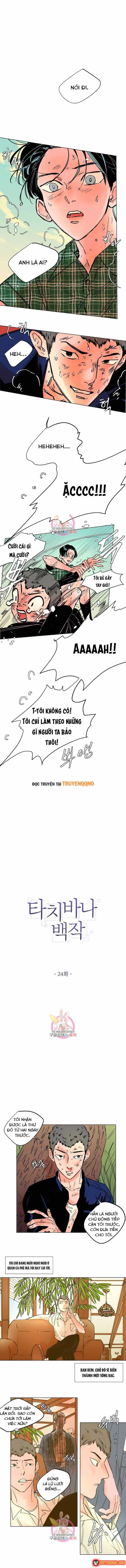 Bá Tước Tachibana Chapter 24 - Trang 3