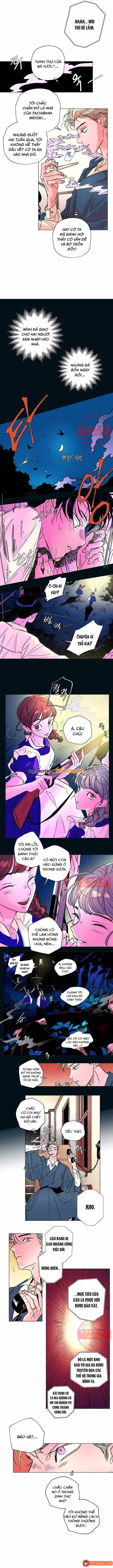 Bá Tước Tachibana Chapter 25 - Trang 8