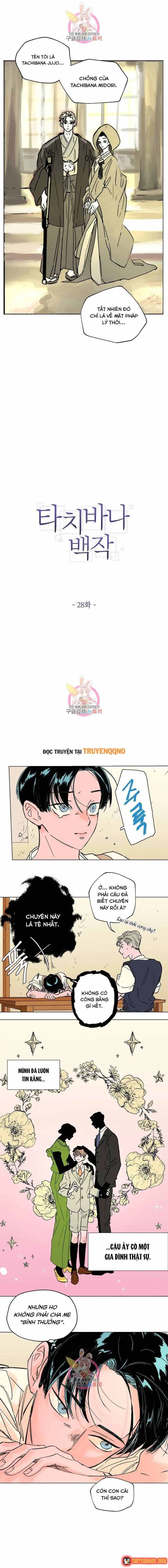 Bá Tước Tachibana Chapter 28 - Trang 3