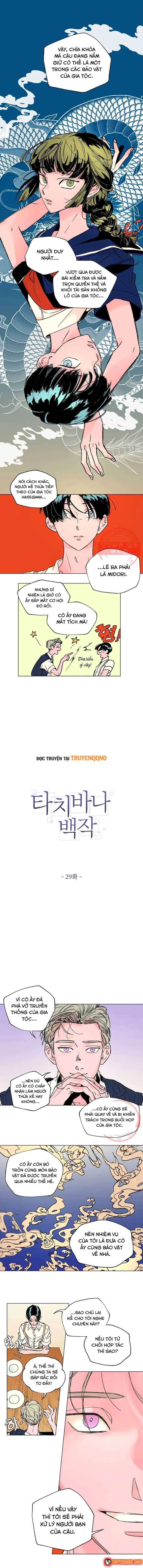 Bá Tước Tachibana Chapter 29 - Trang 3