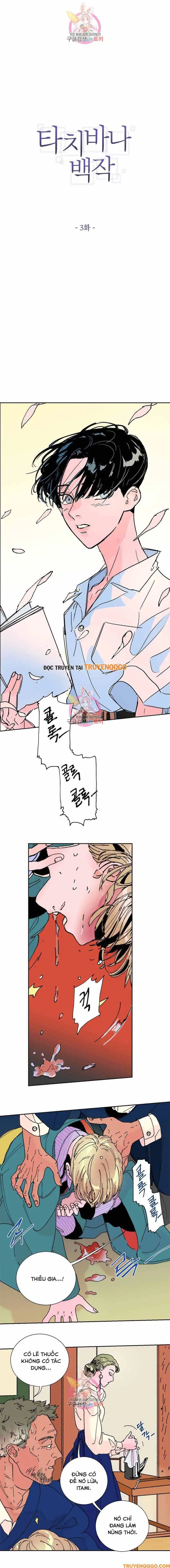 Bá Tước Tachibana Chapter 3 - Trang 3