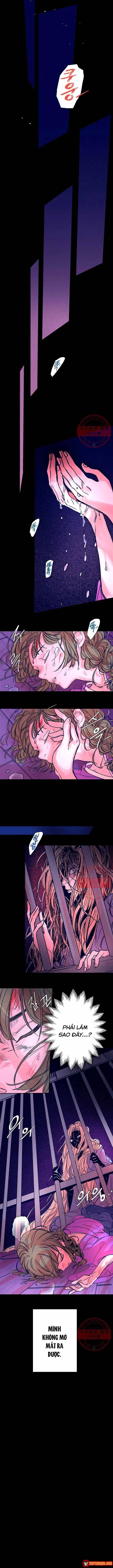 Bá Tước Tachibana Chapter 33 - Trang 11