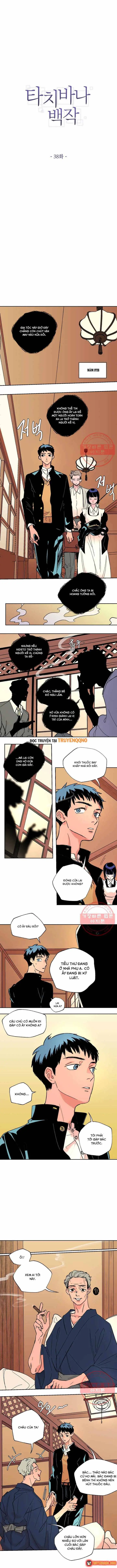 Bá Tước Tachibana Chapter 38 - Trang 3